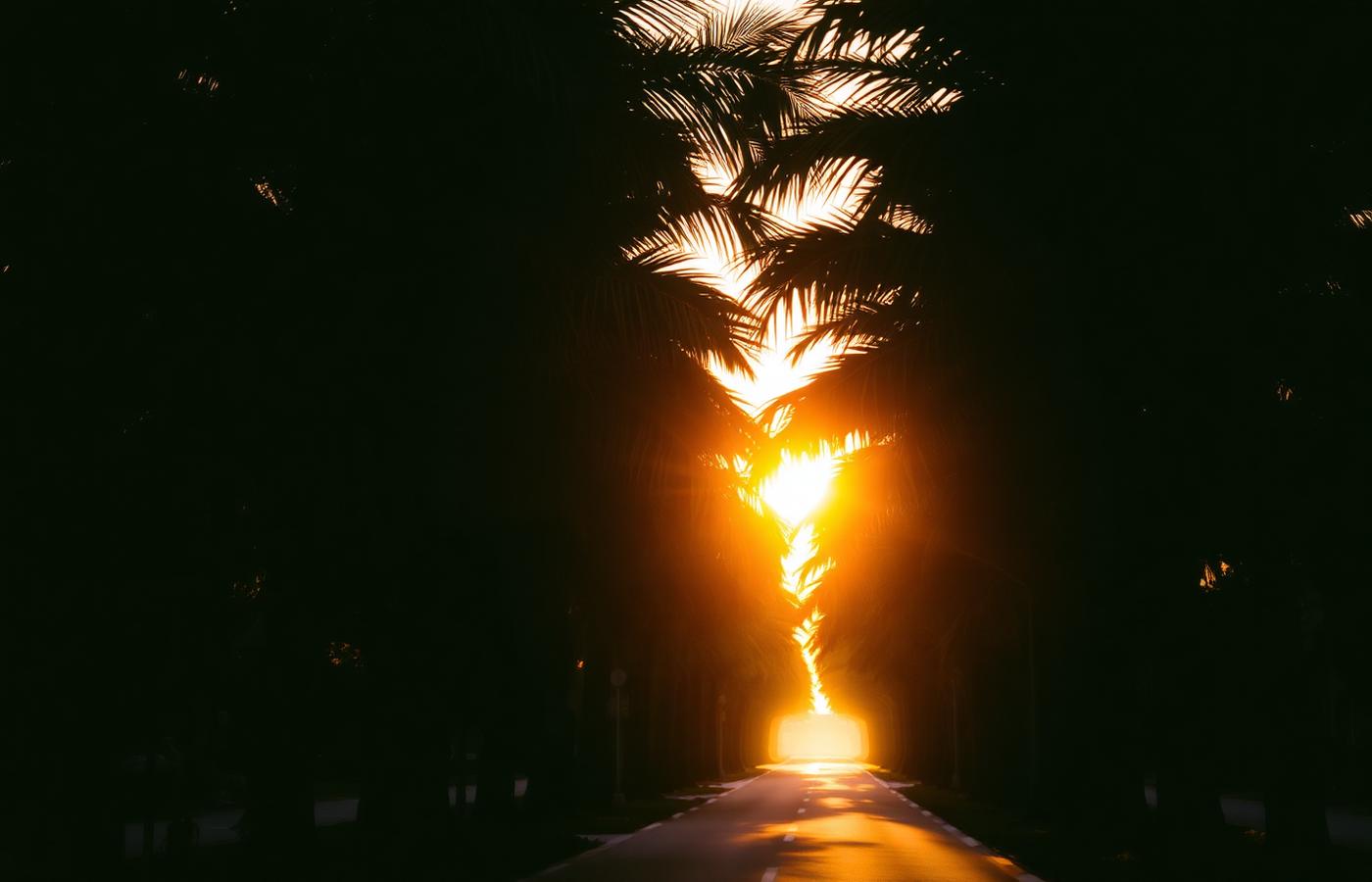 A Florida coastal road at golden hour